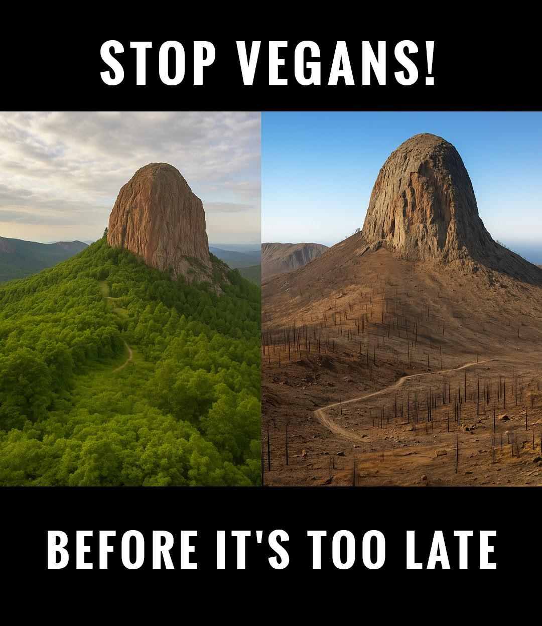Get some steak