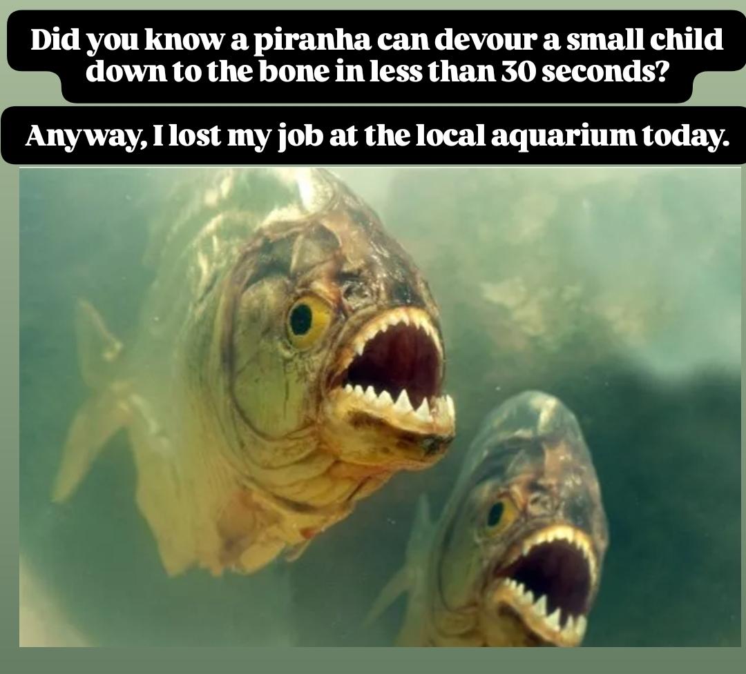 Some people aren't into fun facts..