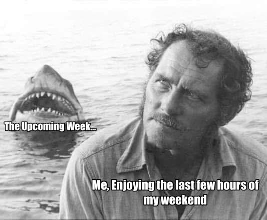 Ominous Shark Music Intensifies