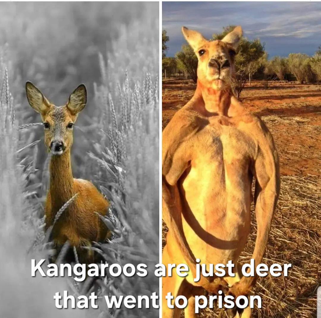 Oh deer. :)