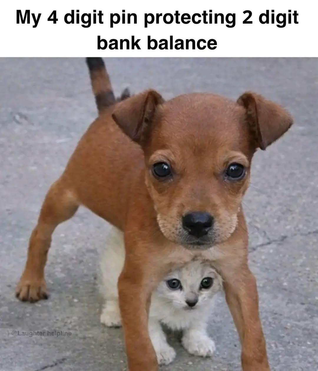 My Current Situation 😕