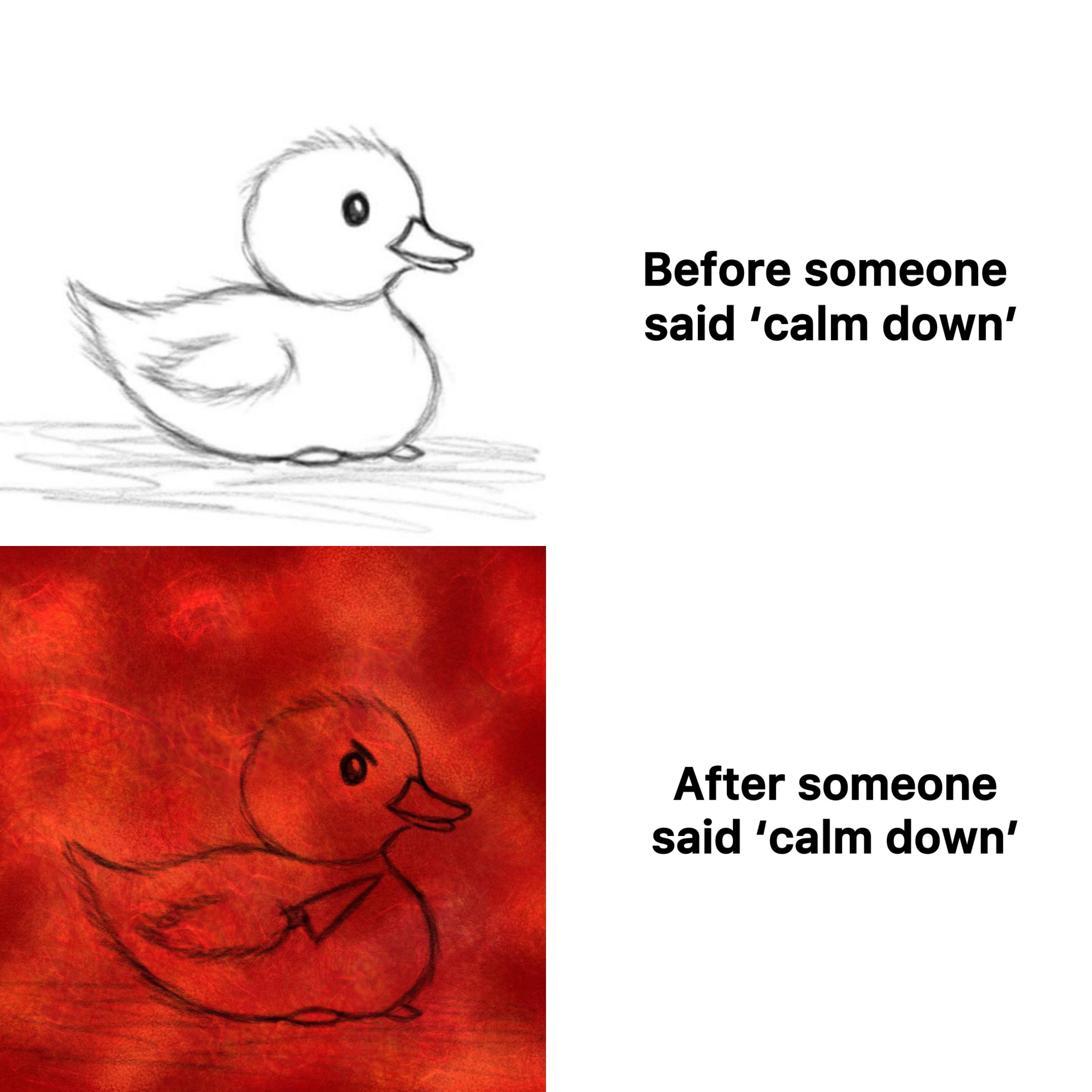 Stop saying that.