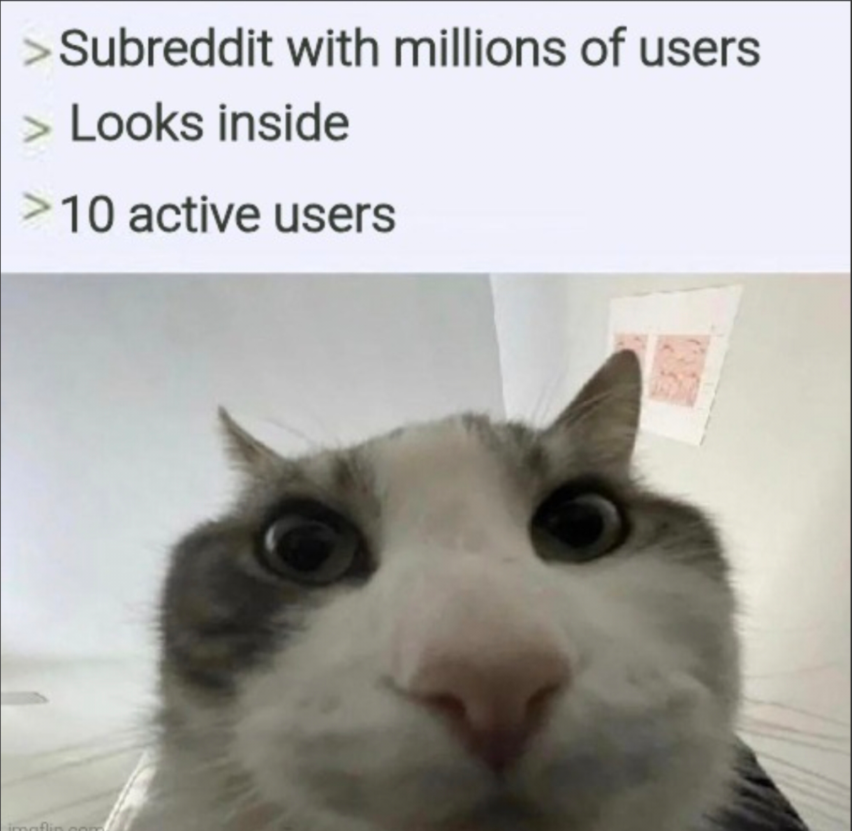 That is strange