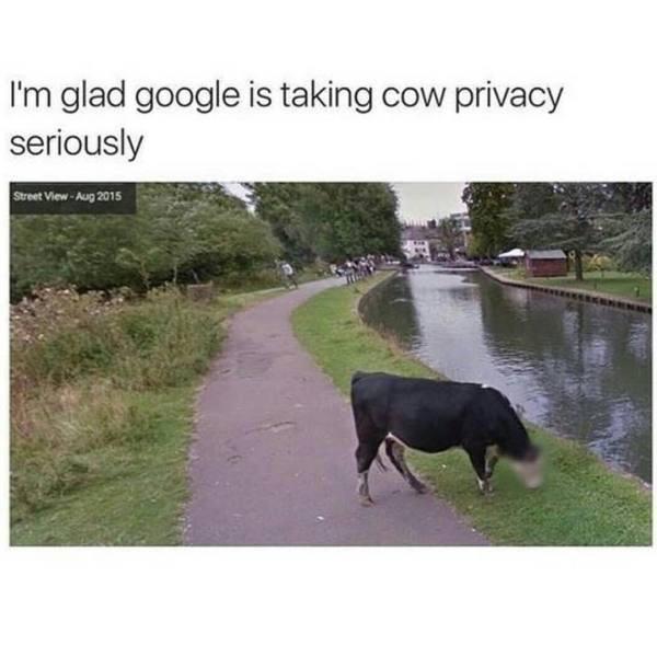 Google Privacy Be Like "We Never Ever Reveal You"