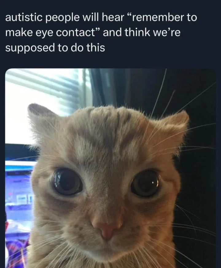 Oh yeah I'm so confident now