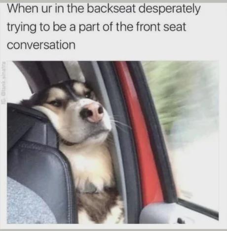 That I don't understand