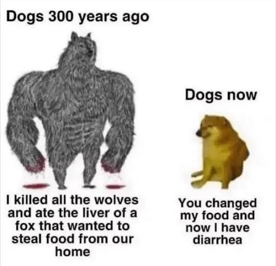 Why they are like this