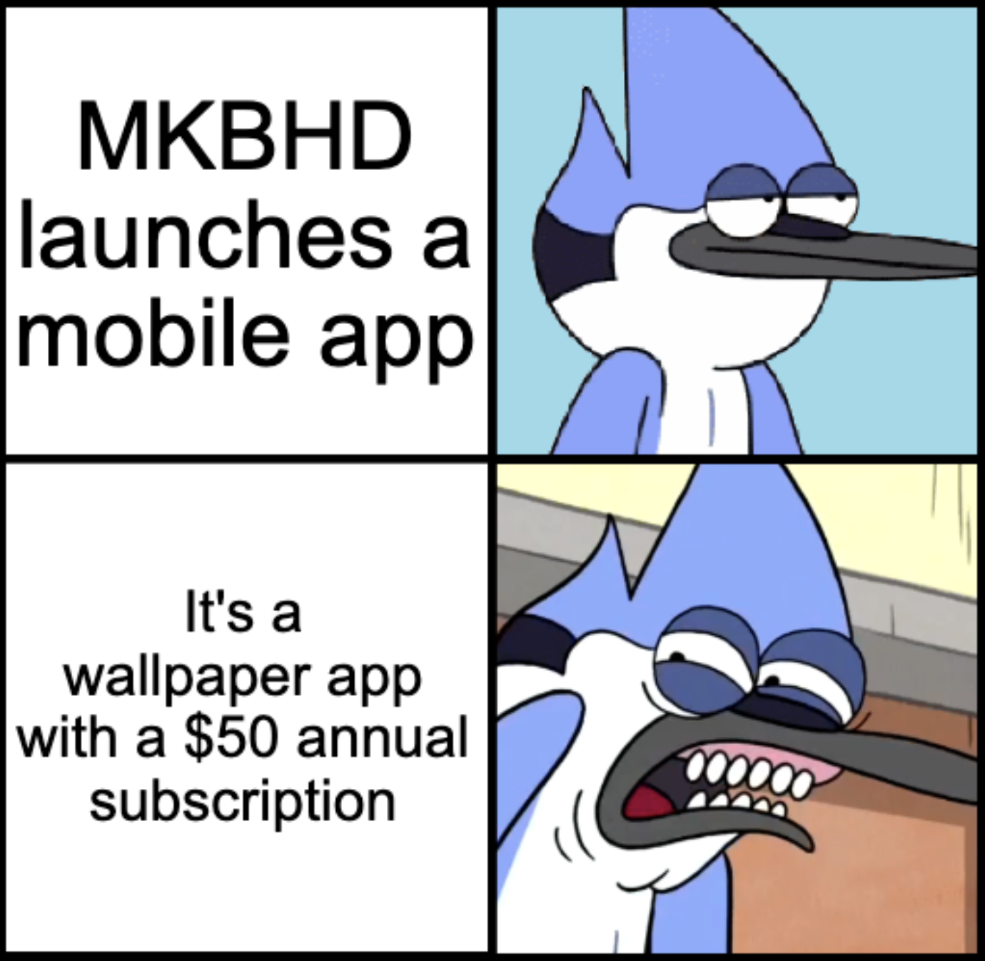 MKBHD is a tech YouTuber who has previously called out businesses for failing because they mispriced their products. And he's taking 50% of the profits from artists that work with him on the app.