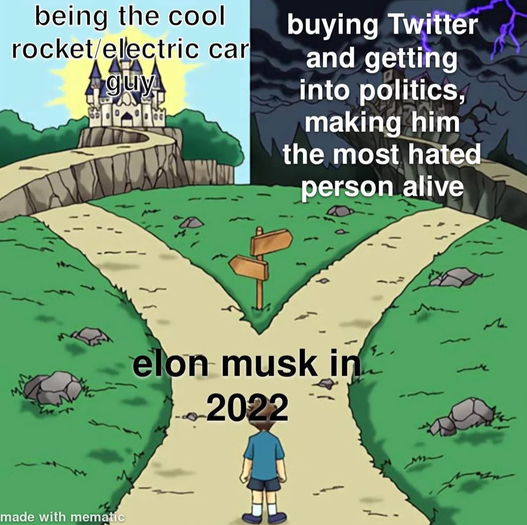 Musk in 2022