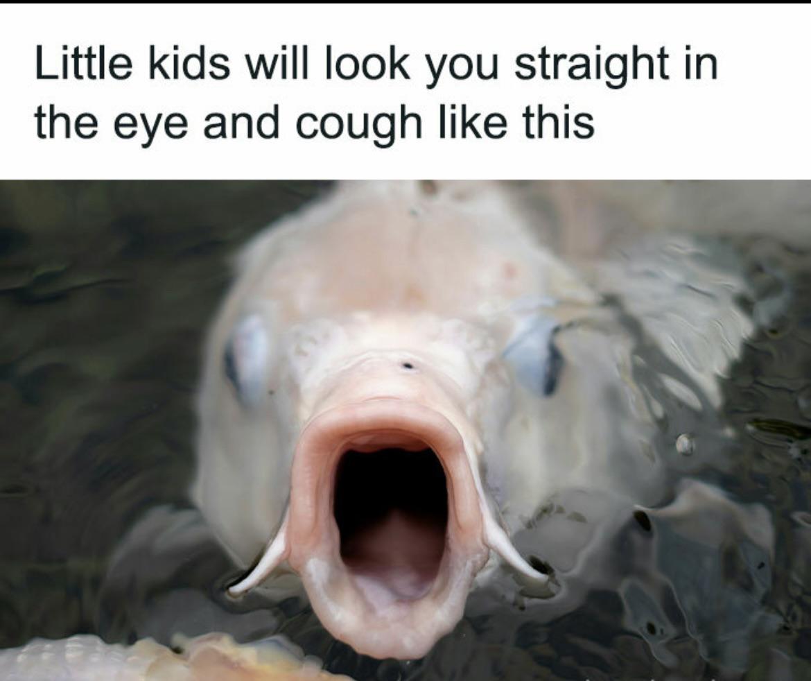 They always do this…