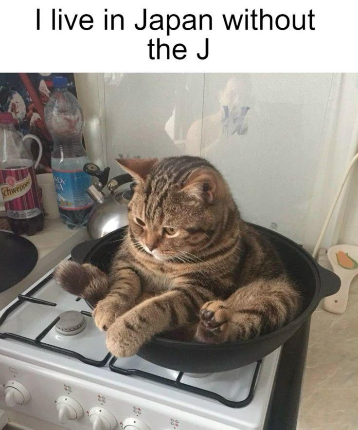 Japan .....
