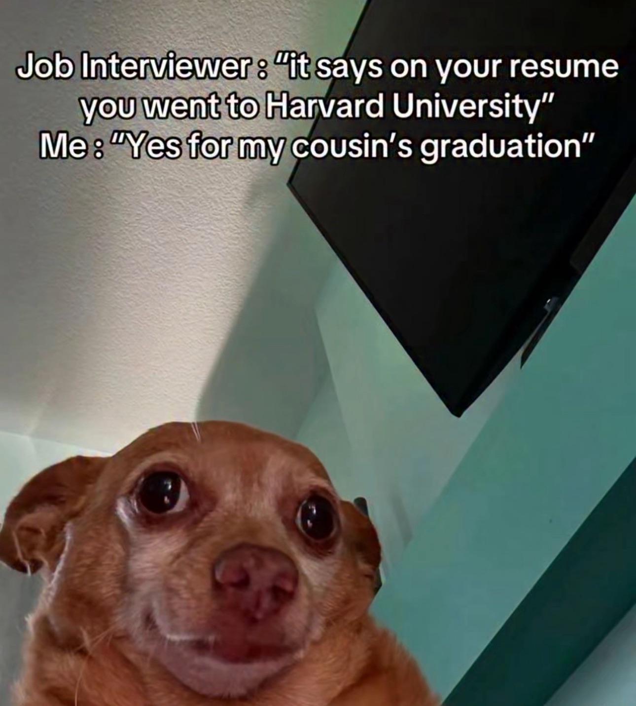 Technically not a lie…