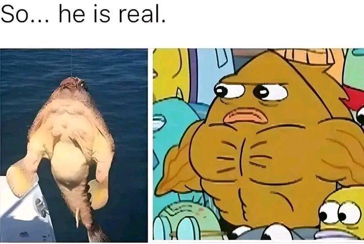 dude dont want to be rude but shrimp is showing