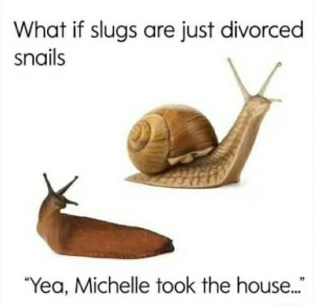 I thought they are naked snails