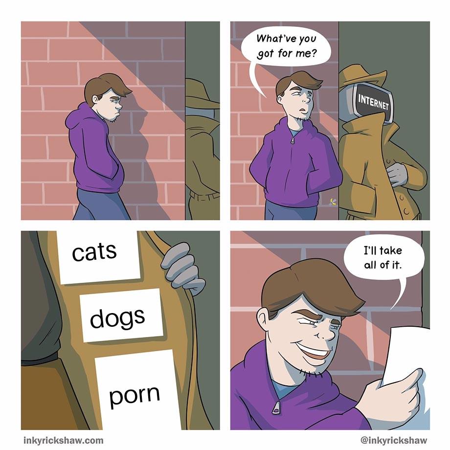 no politics