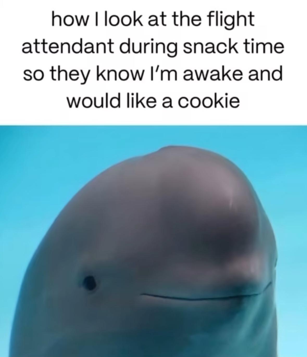 pretty accurate