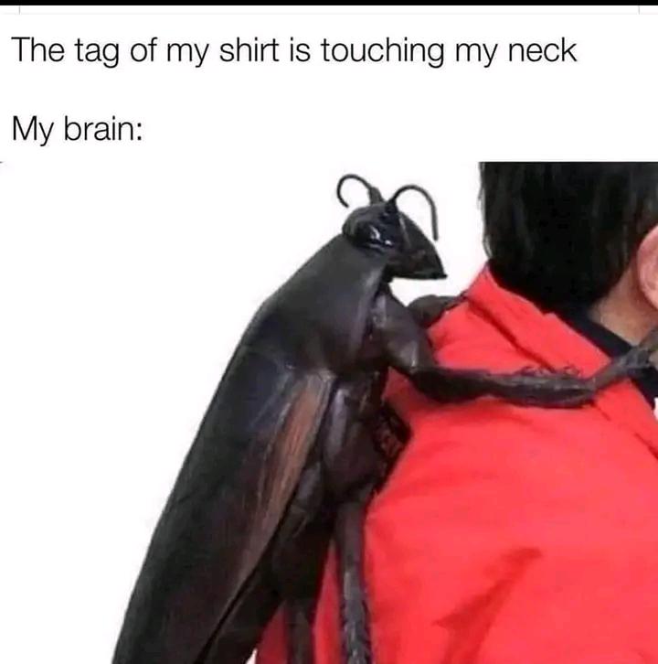 Time to burn the whole shirt.