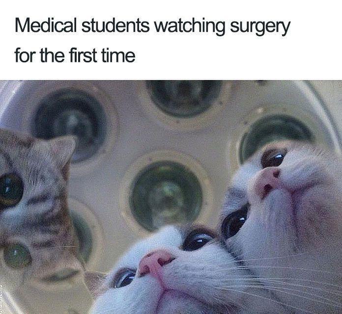 Medical students are built different 👌🏻👏🏻
