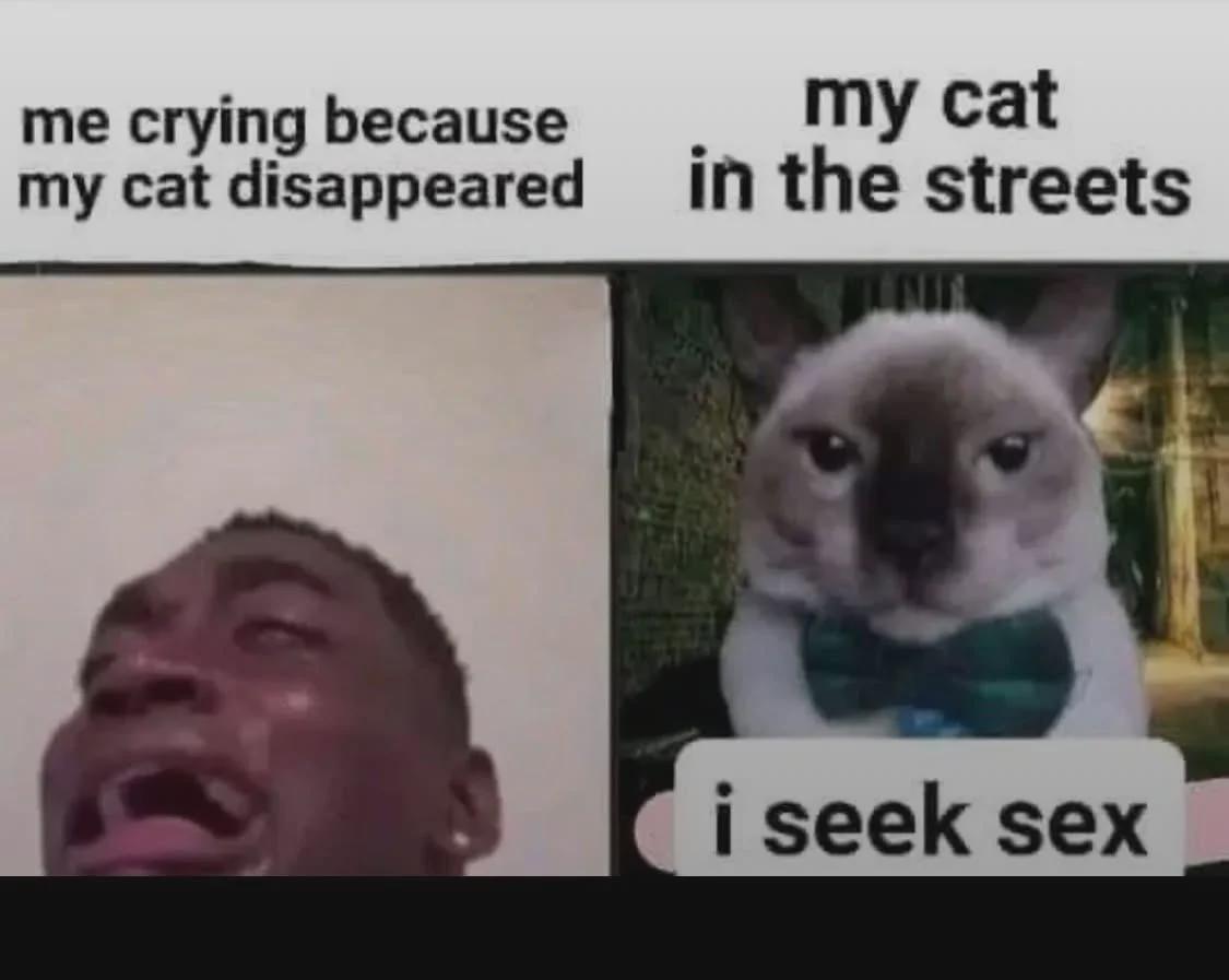 Well, isn't that true?