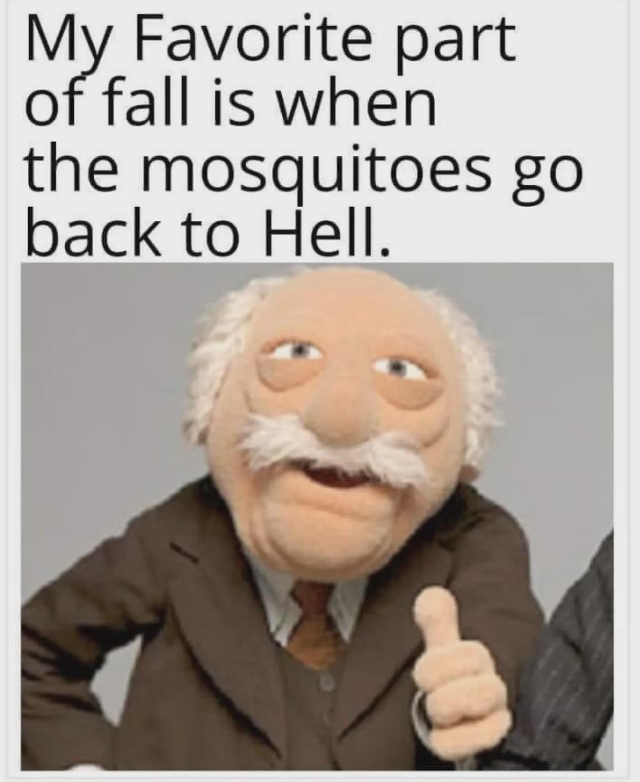 Why Fall is the Best Season