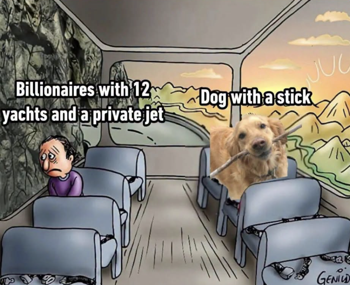 Dog with a stick