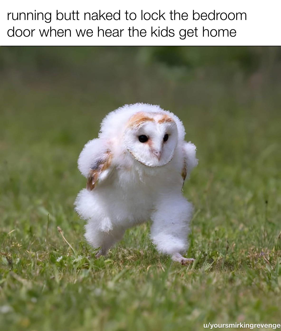 full speed in my nike tube socks