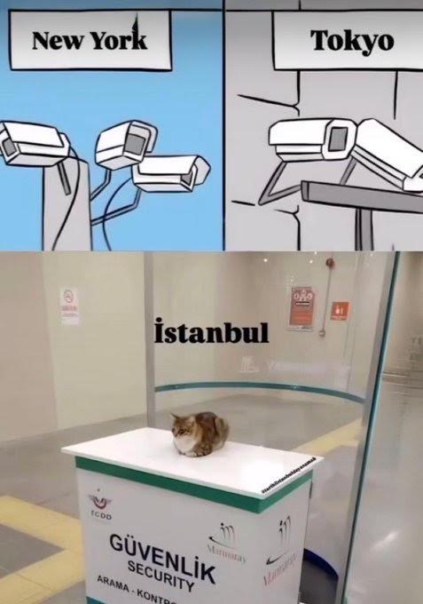 We don't need cameras!