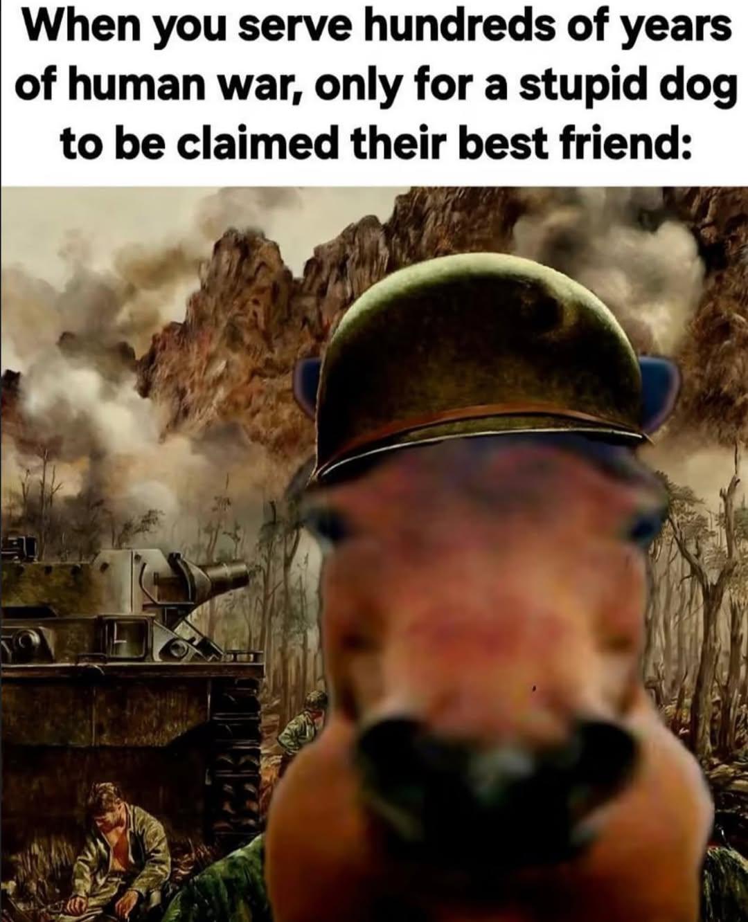 Ngl horses kinda got scammed