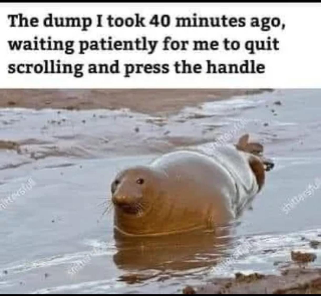 Hahaha, kind of gross though 🤣