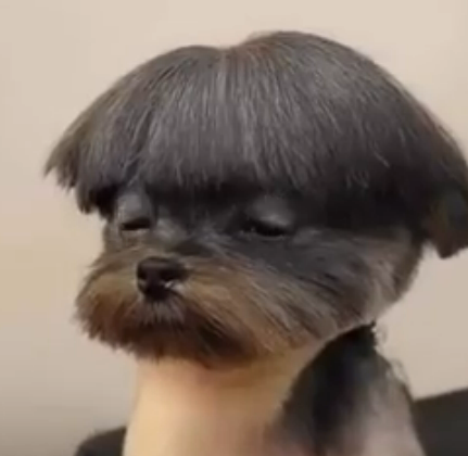 When people talk to me before I've had my coffee