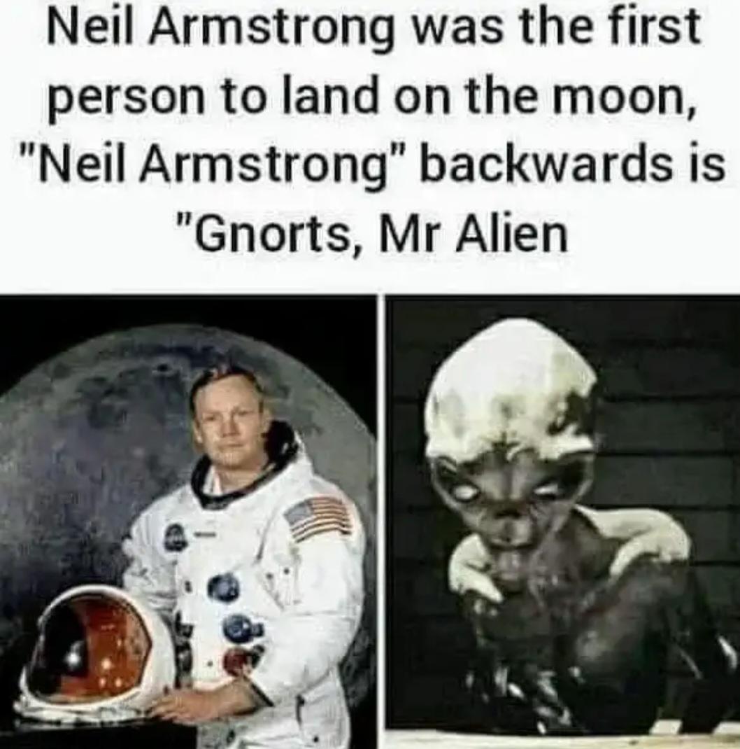Gnorts ‎‎‎
