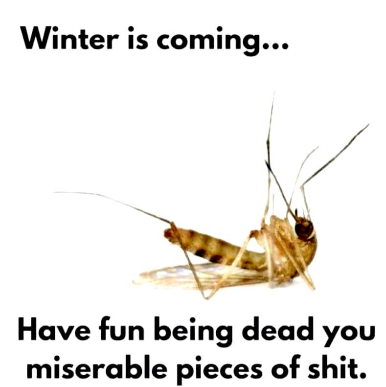 Death to all your brethren
