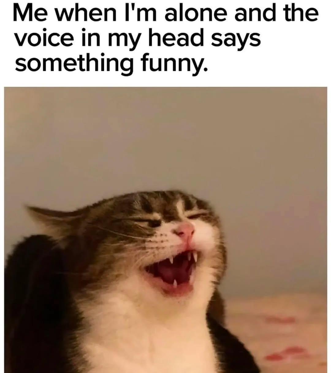 Never do it in public