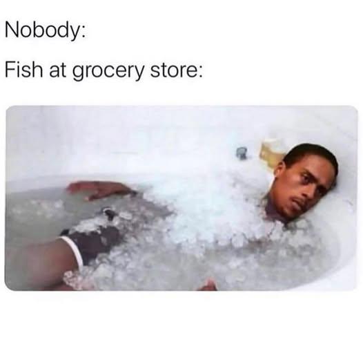 Even my fish in my refrigerator looks at me like this 😂