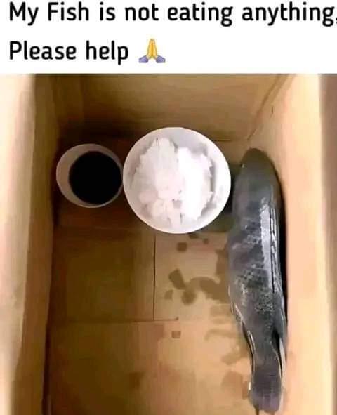 Please Help.