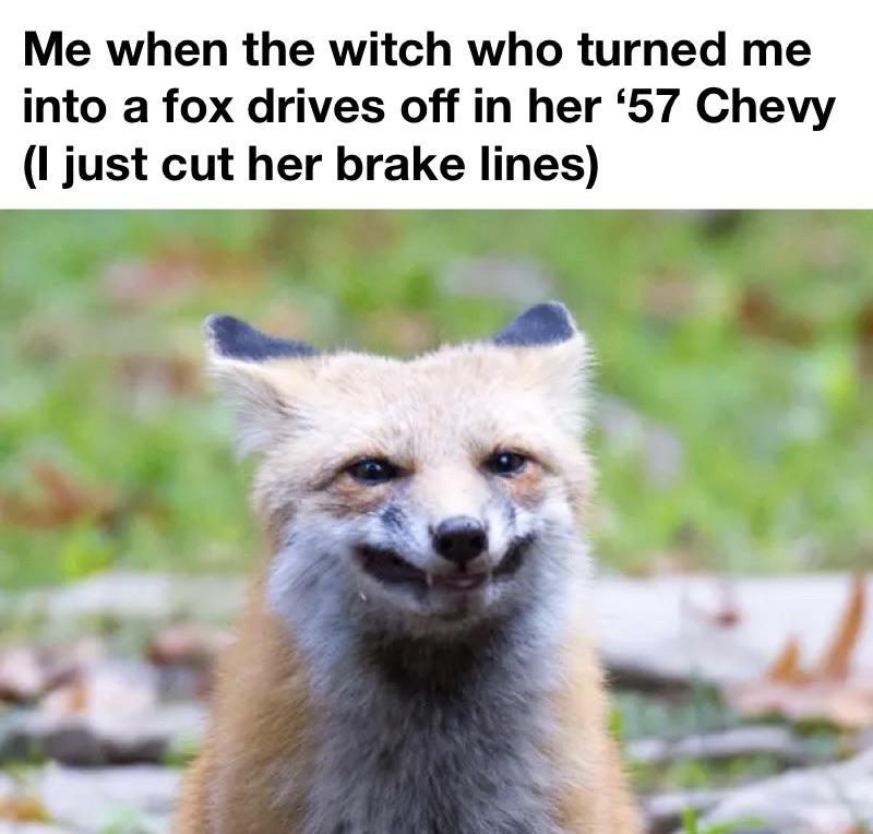 Nothing against Chevy owners