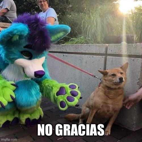 No gracias