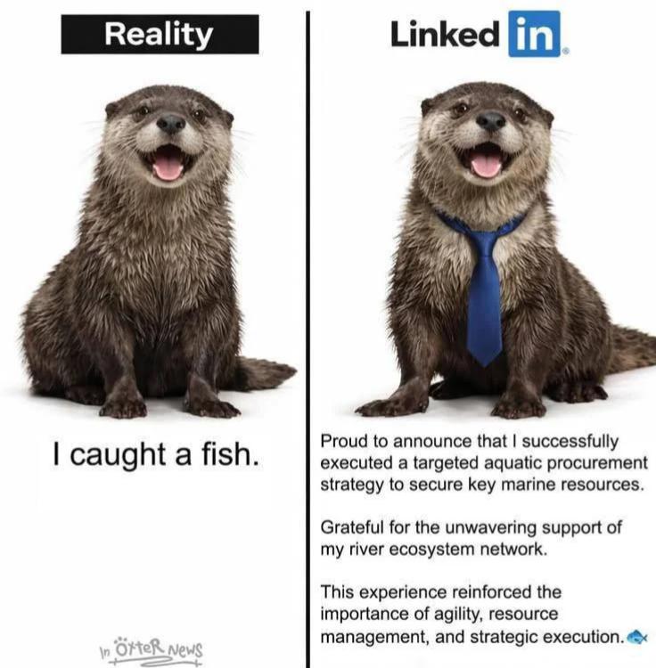 Average LinkedIn profile