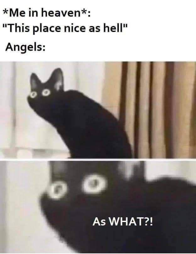 Me in afterlife.