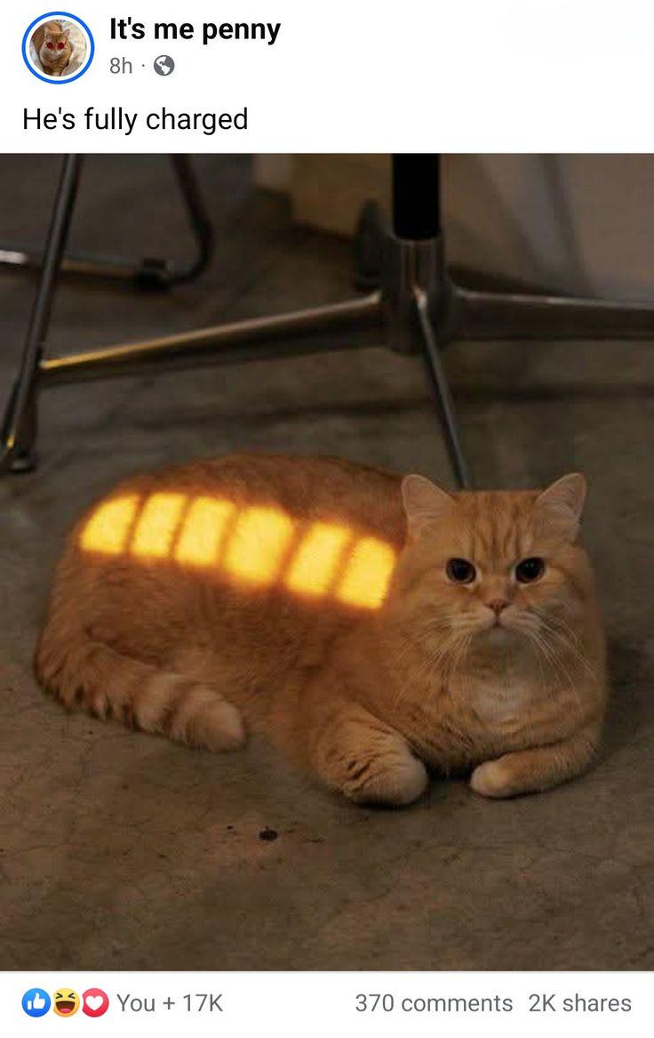 Bro is fully charged
