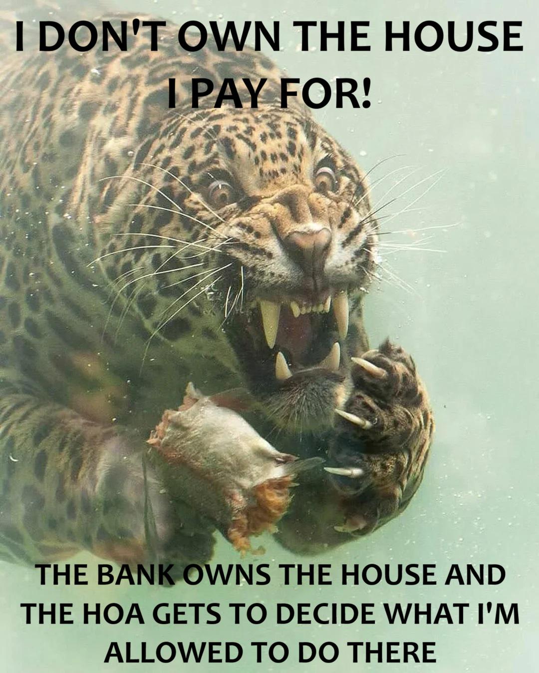 Why don't they pay for it then?
