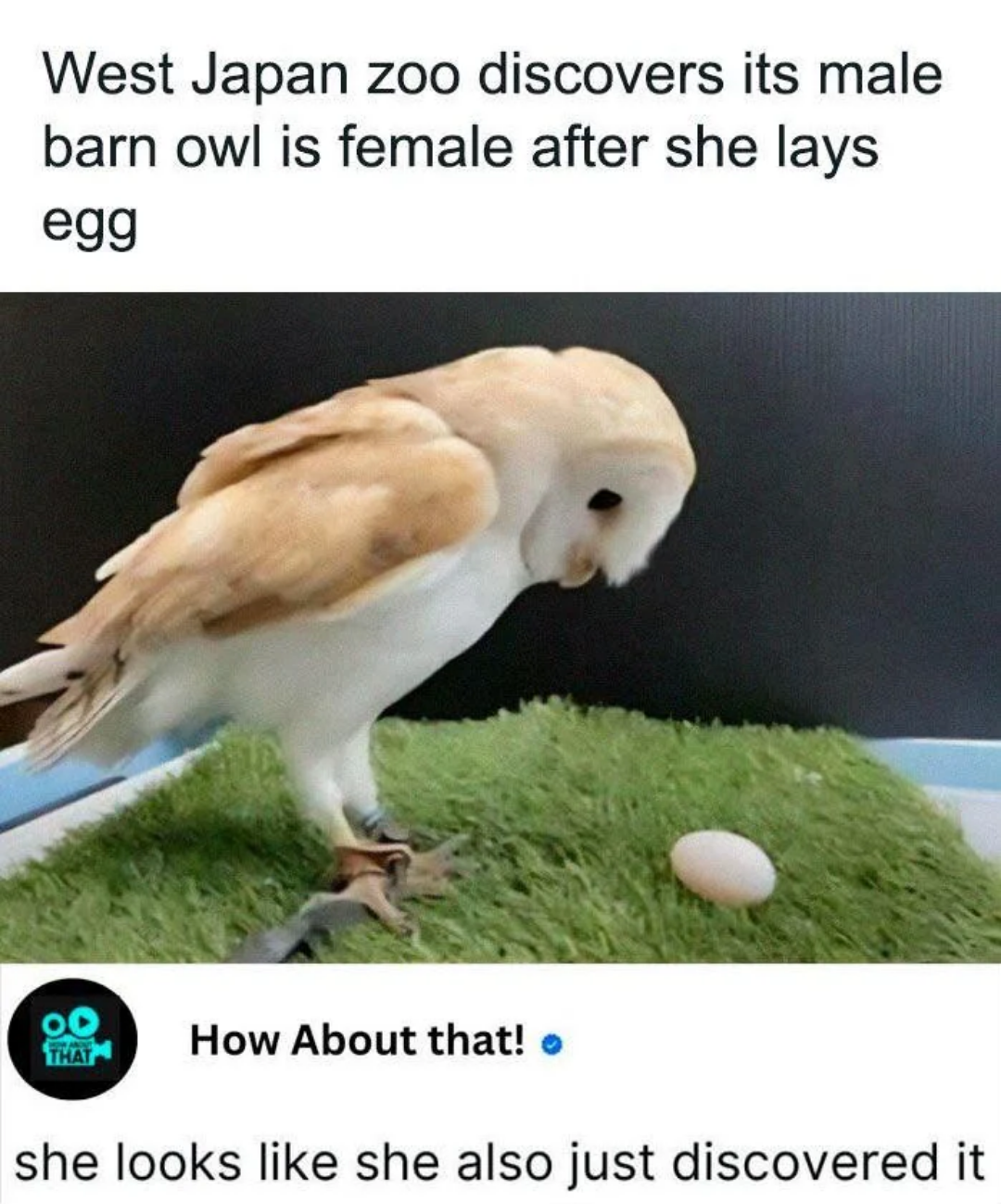 She's doubting her existence rn.