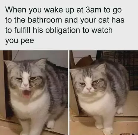 It's their duty to do that