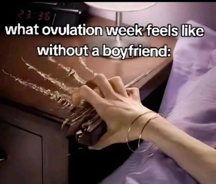 Your girl is in ovulation phase without a boyfriend 😭