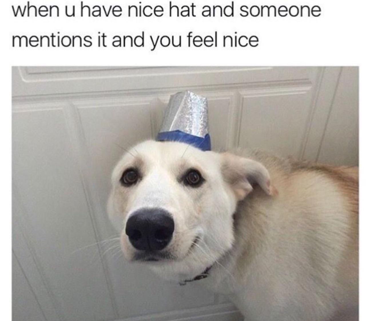 A good hat is everything