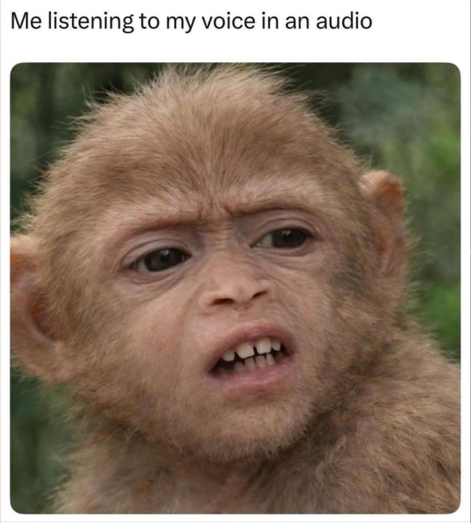 Ne listening to my voice in an audio