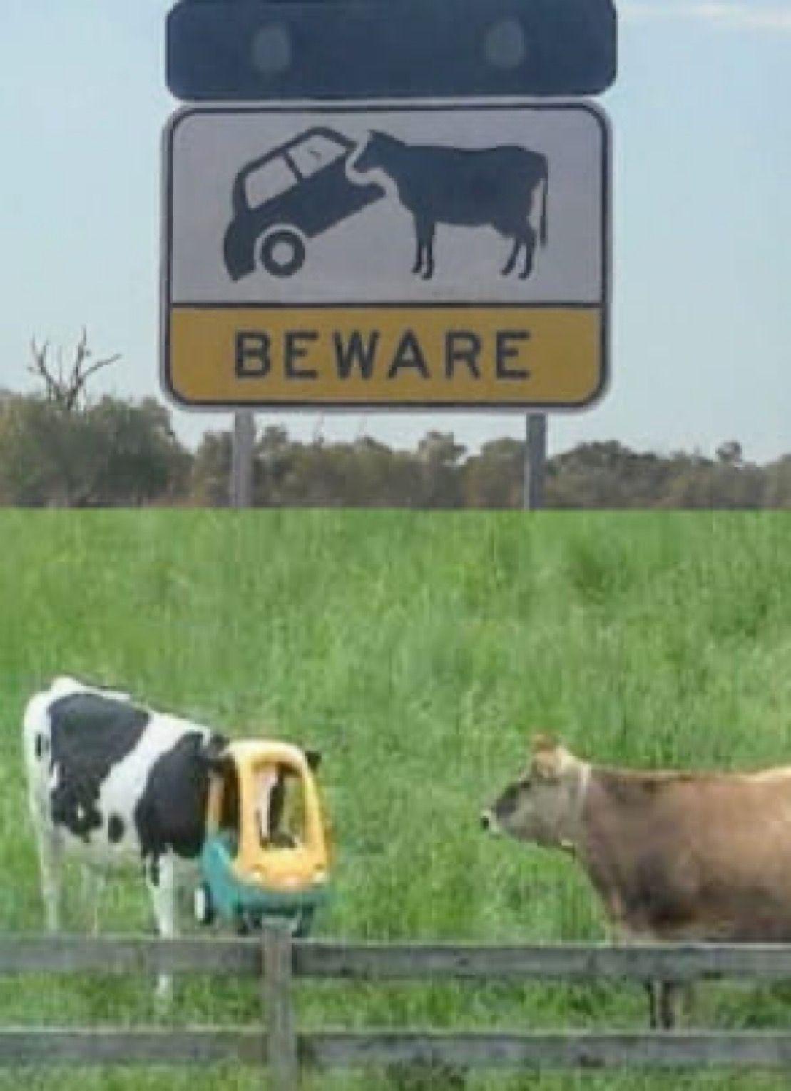 At least the sign is accurate