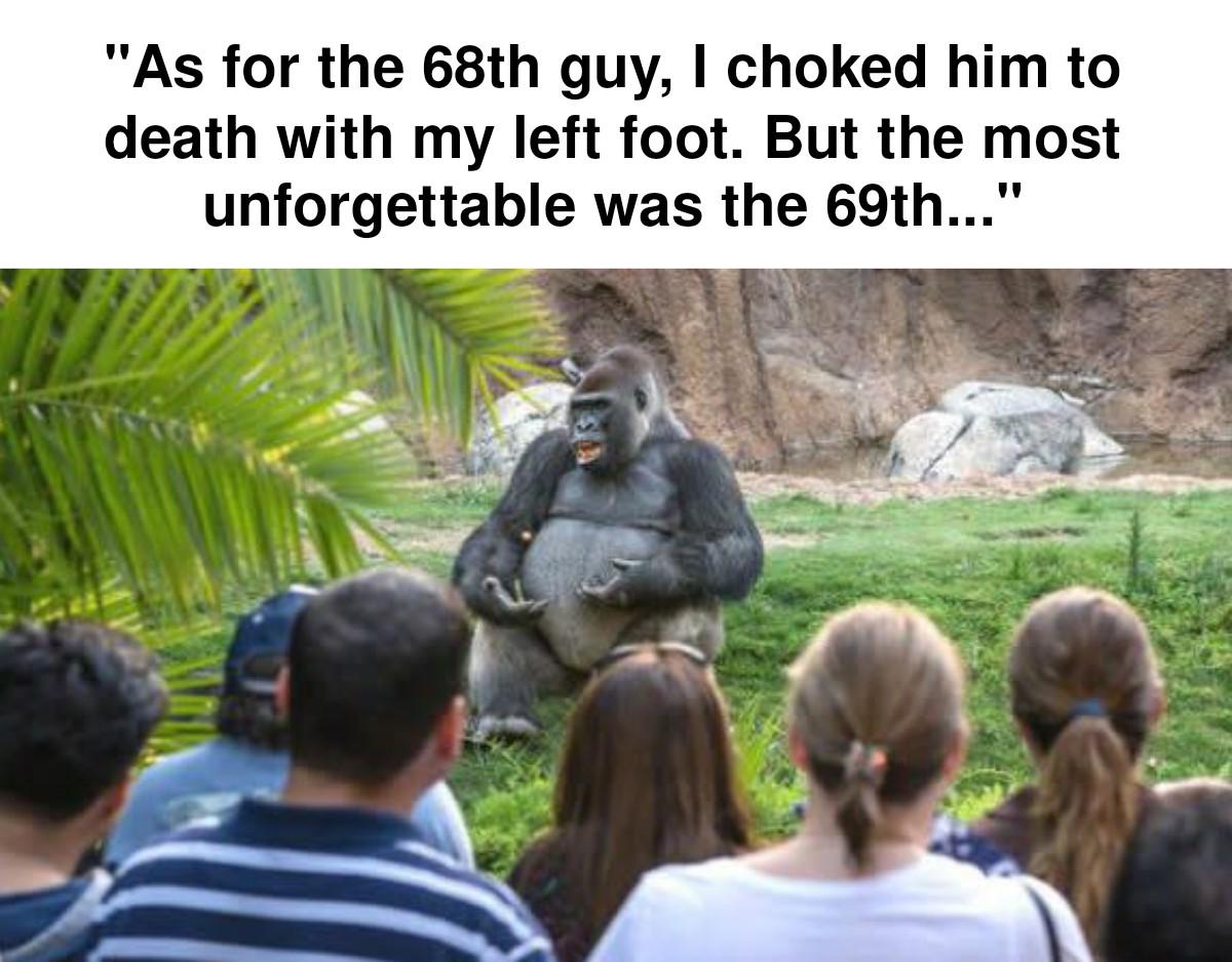 Gorilla spreading the story