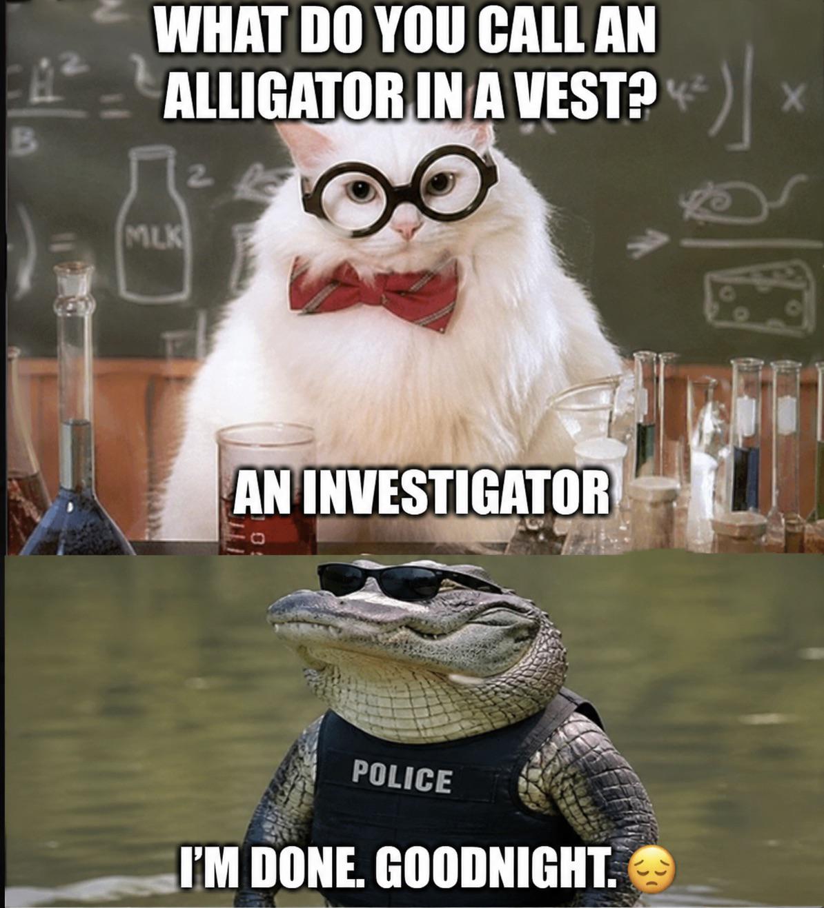 Alligator in a vest