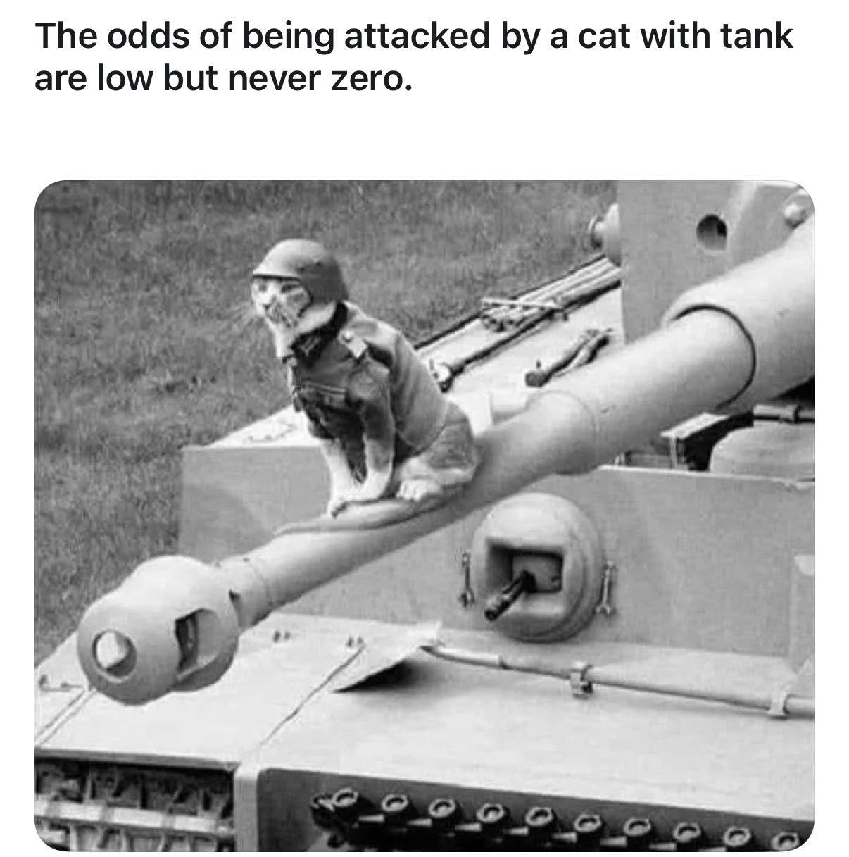 So you're saying there's a chance?